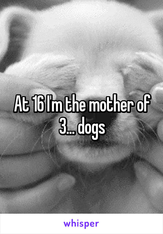 At 16 I'm the mother of 3... dogs