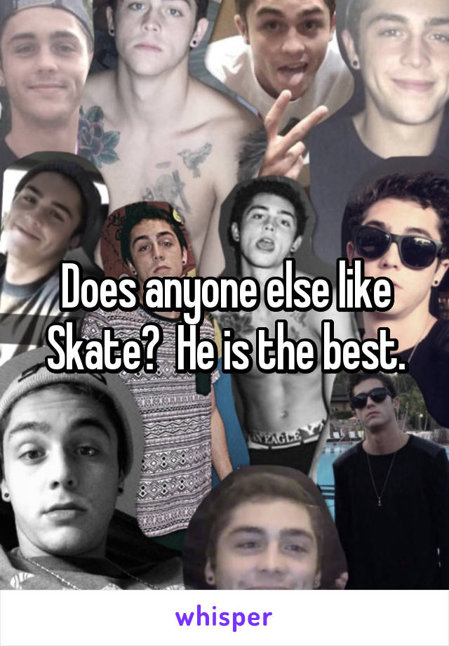 Does anyone else like Skate?  He is the best.