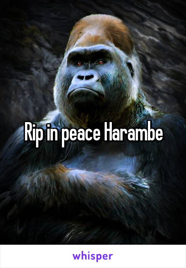 Rip in peace Harambe