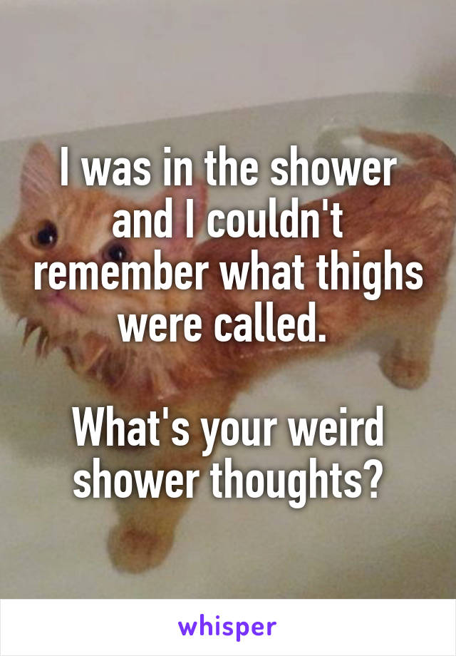 I was in the shower and I couldn't remember what thighs were called. 

What's your weird shower thoughts?