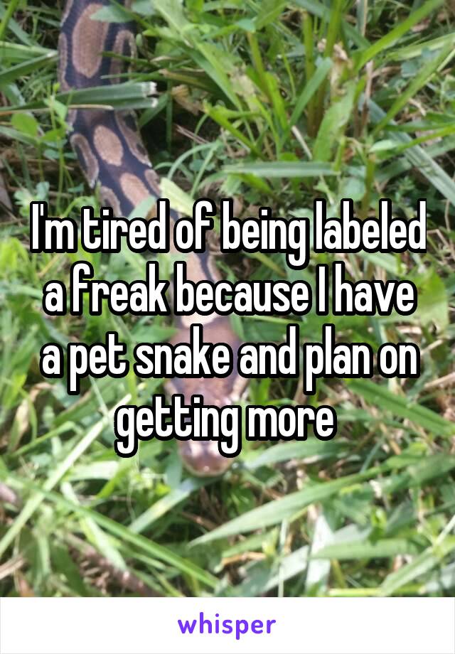 I'm tired of being labeled a freak because I have a pet snake and plan on getting more 