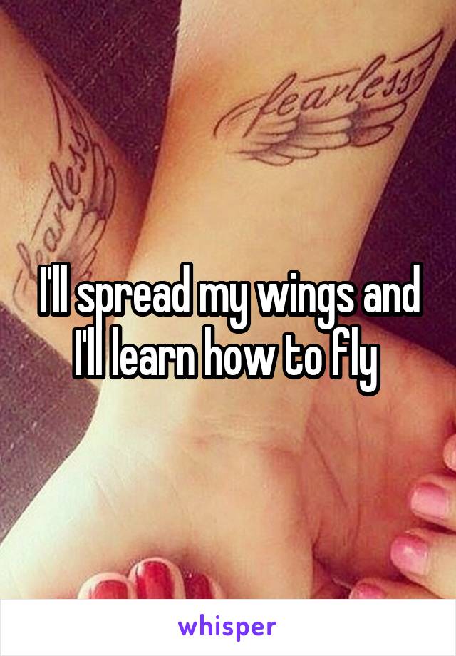 I'll spread my wings and I'll learn how to fly 