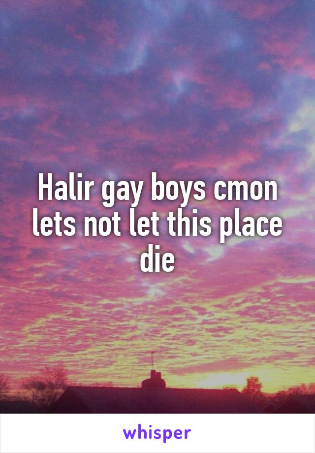 Halir gay boys cmon lets not let this place die