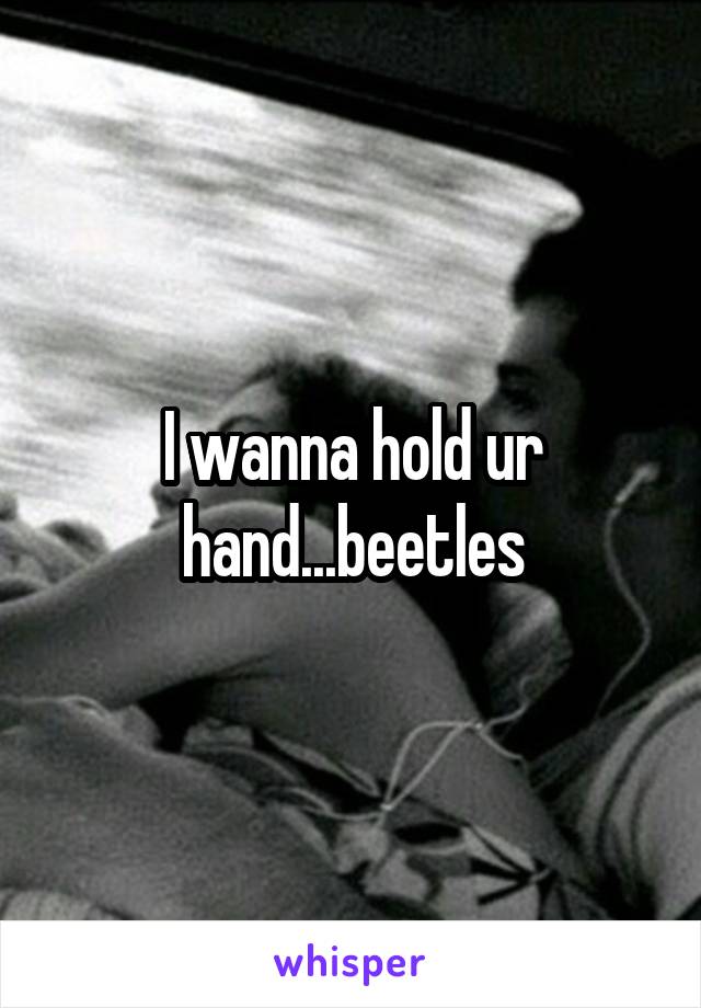 I wanna hold ur hand...beetles