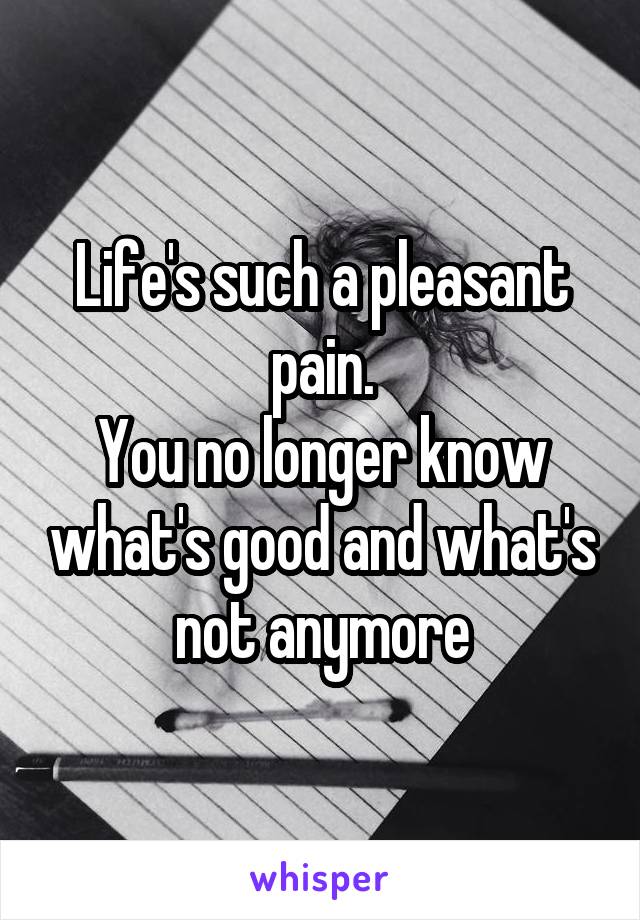 Life's such a pleasant pain.
You no longer know what's good and what's not anymore