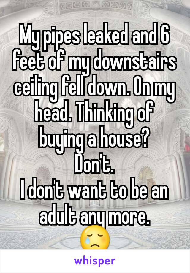 My pipes leaked and 6 feet of my downstairs ceiling fell down. On my head. Thinking of buying a house?
Don't.
I don't want to be an adult any more.
😢