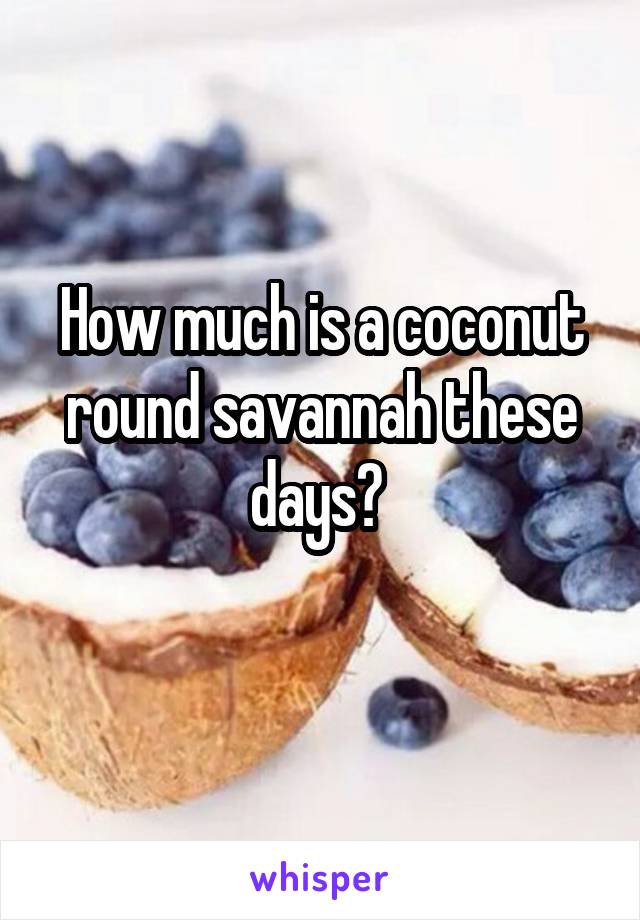 How much is a coconut round savannah these days? 
