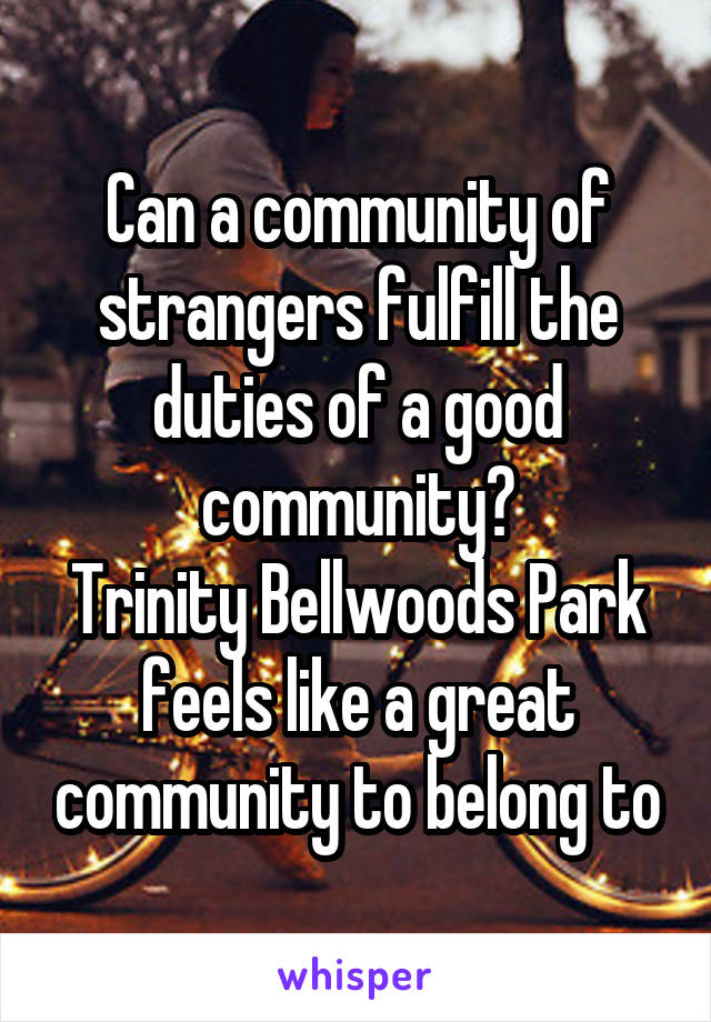 Can a community of strangers fulfill the duties of a good community?
Trinity Bellwoods Park feels like a great community to belong to