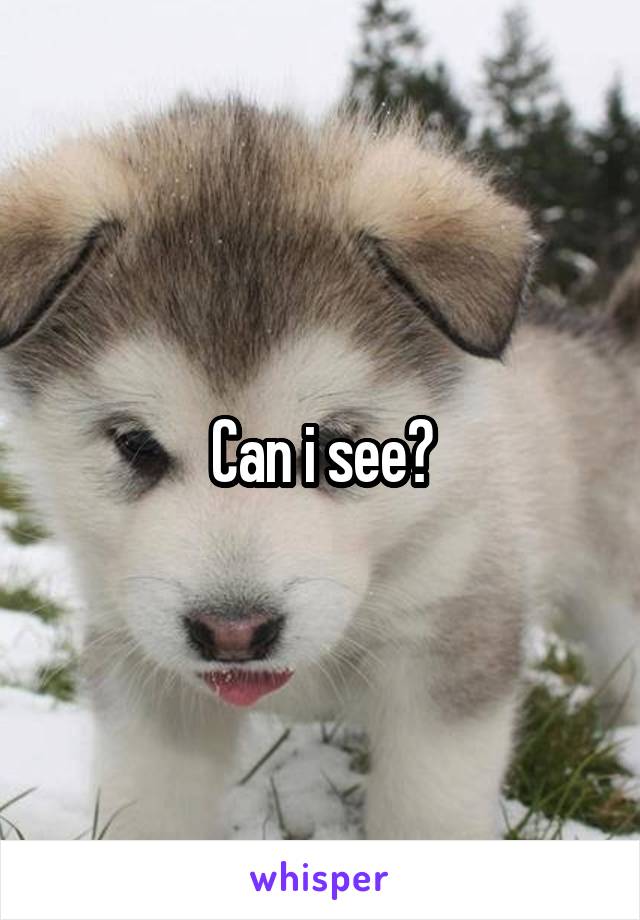 Can i see?