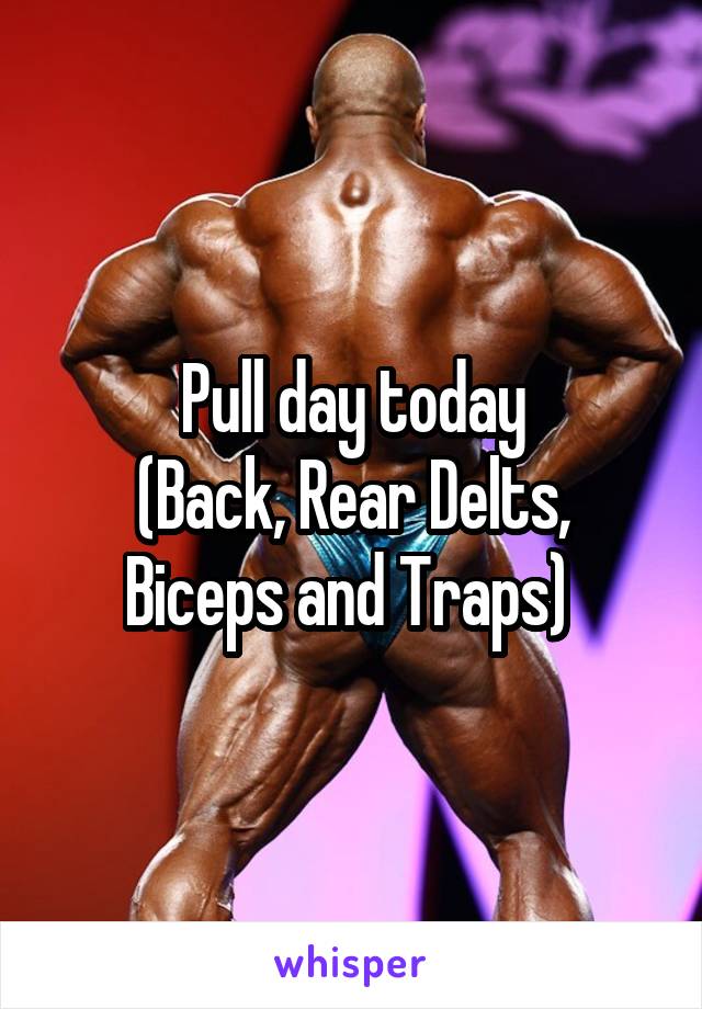 Pull day today
(Back, Rear Delts, Biceps and Traps) 