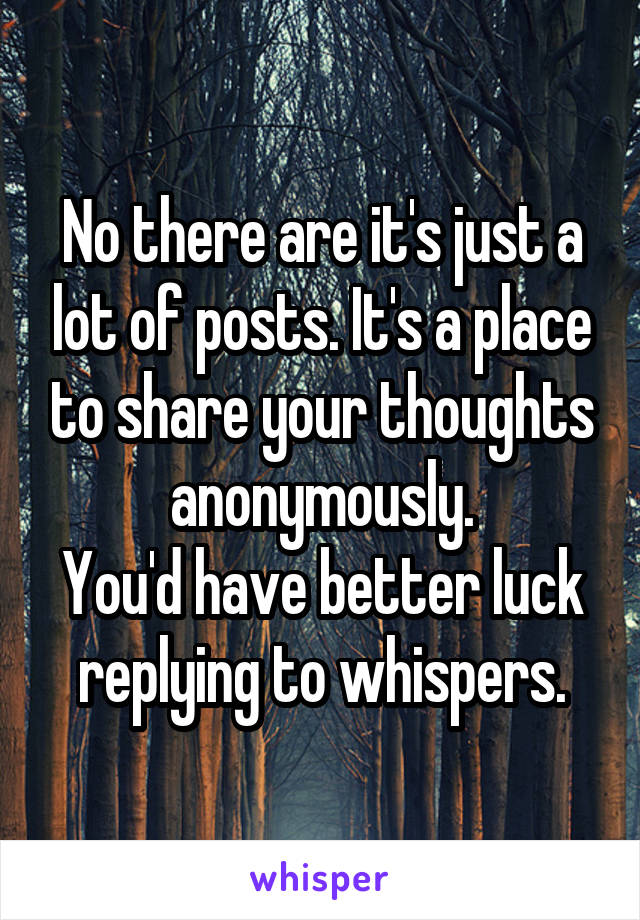 No there are it's just a lot of posts. It's a place to share your thoughts anonymously.
You'd have better luck replying to whispers.