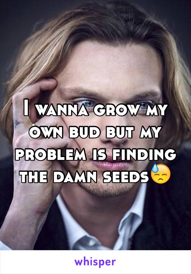 I wanna grow my own bud but my problem is finding the damn seeds😓