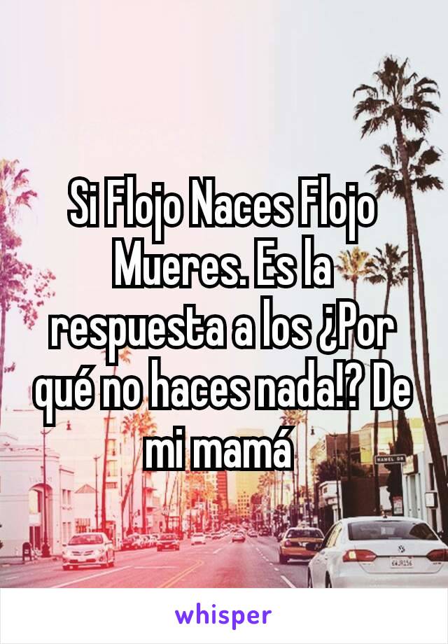 Si Flojo Naces Flojo Mueres. Es la respuesta a los ¿Por qué no haces nada!? De mi mamá 