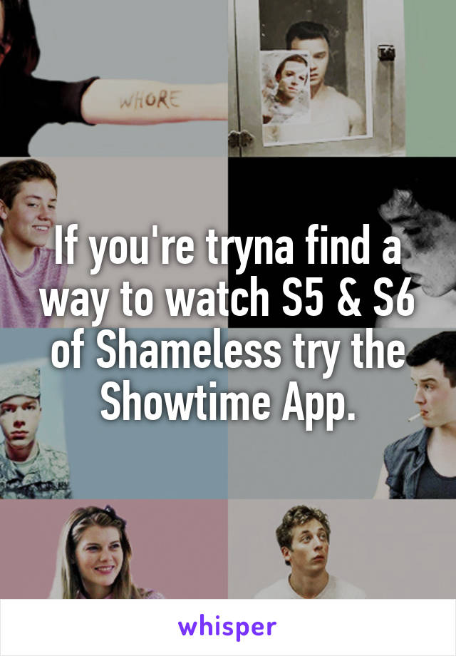 If you're tryna find a way to watch S5 & S6 of Shameless try the Showtime App.