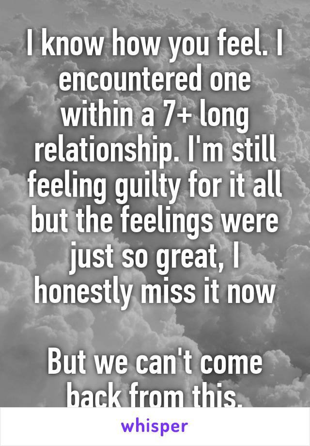 I know how you feel. I encountered one within a 7+ long relationship. I'm still feeling guilty for it all but the feelings were just so great, I honestly miss it now

But we can't come back from this.