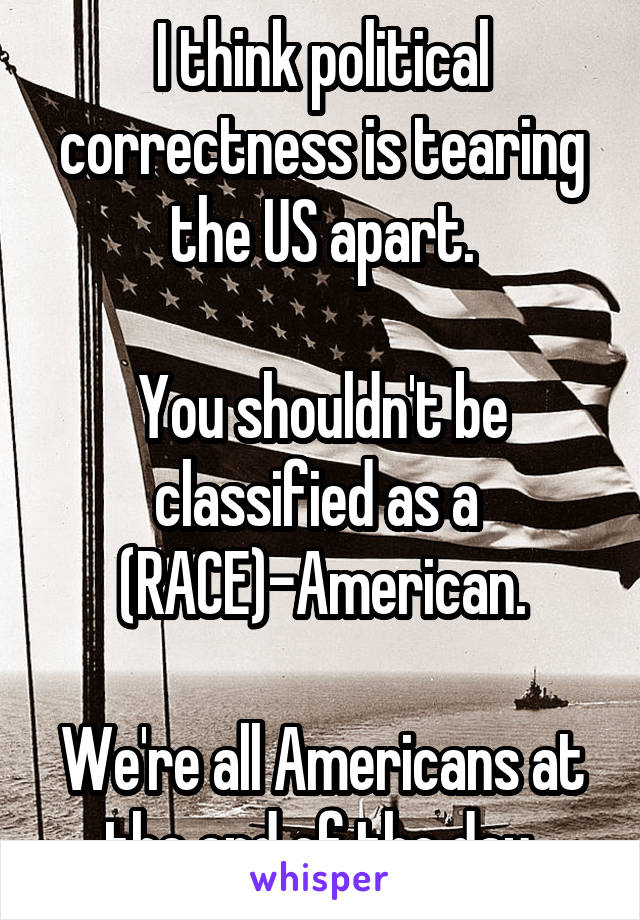 I think political correctness is tearing the US apart.

You shouldn't be classified as a 
(RACE)-American.

We're all Americans at the end of the day.