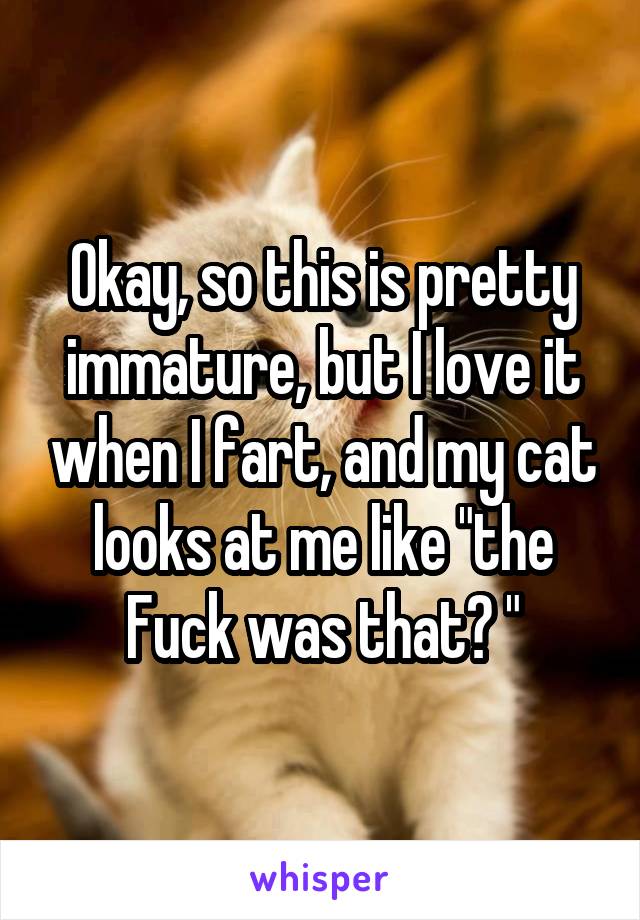 Okay, so this is pretty immature, but I love it when I fart, and my cat looks at me like "the Fuck was that? "