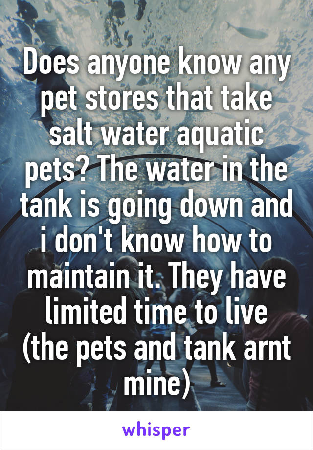 Does anyone know any pet stores that take salt water aquatic pets? The water in the tank is going down and i don't know how to maintain it. They have limited time to live (the pets and tank arnt mine)