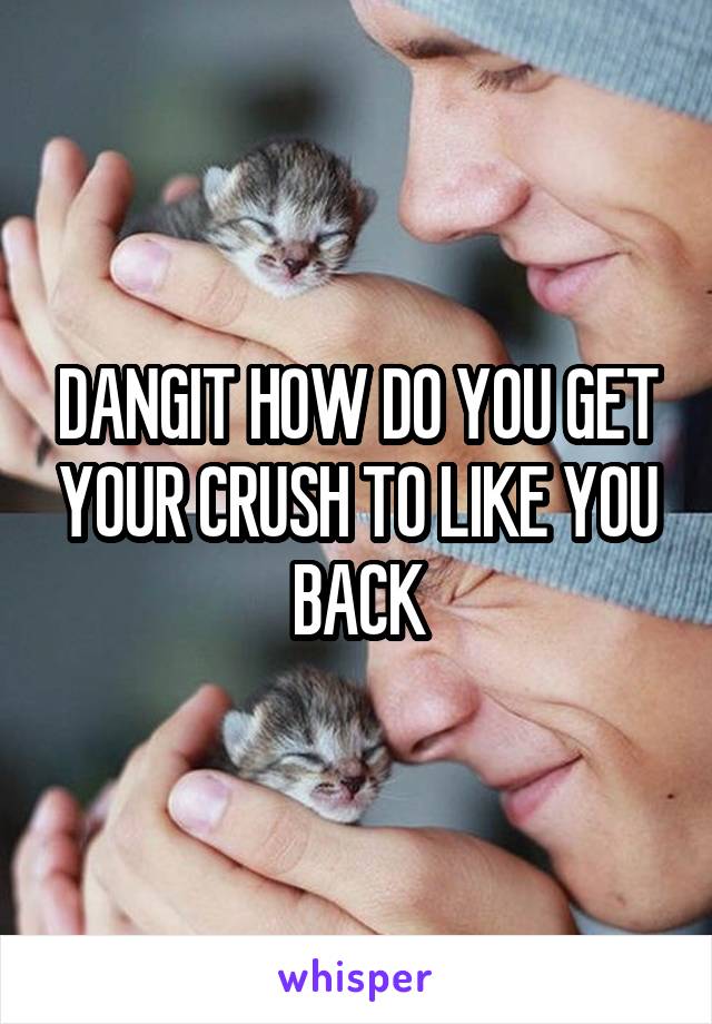 DANGIT HOW DO YOU GET YOUR CRUSH TO LIKE YOU BACK