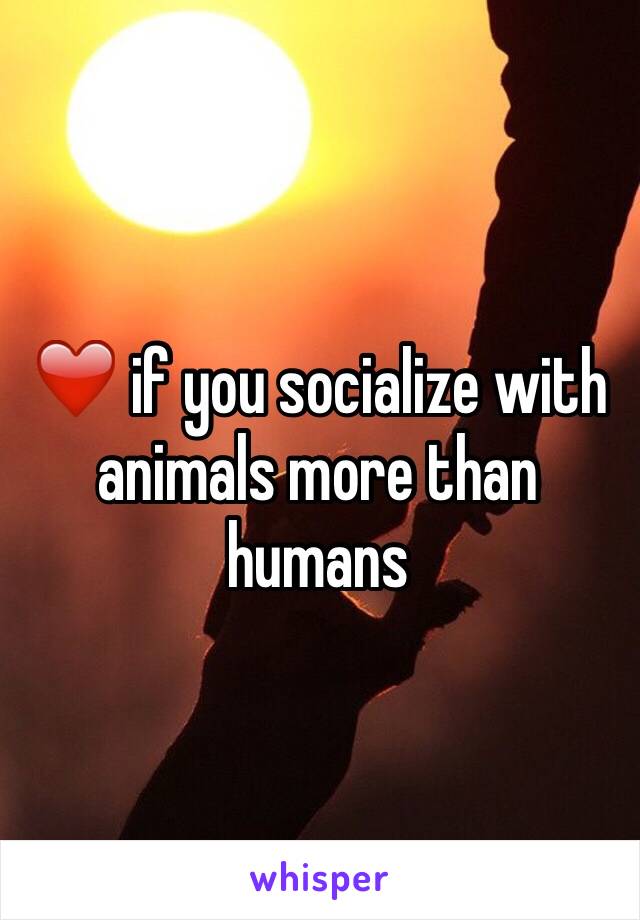 ❤️ if you socialize with animals more than humans 