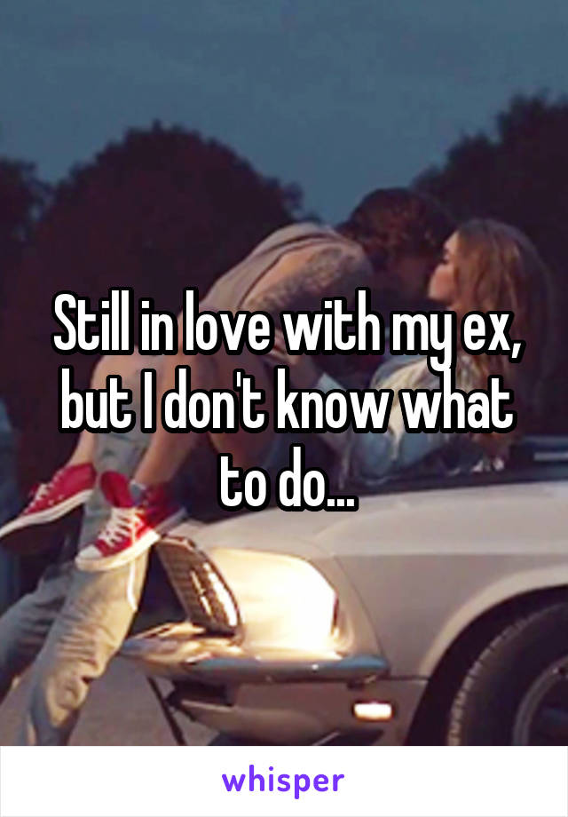 Still in love with my ex, but I don't know what to do...