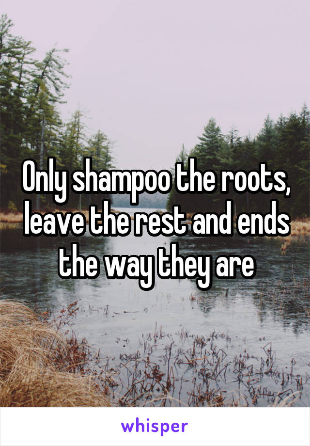 Only shampoo the roots, leave the rest and ends the way they are