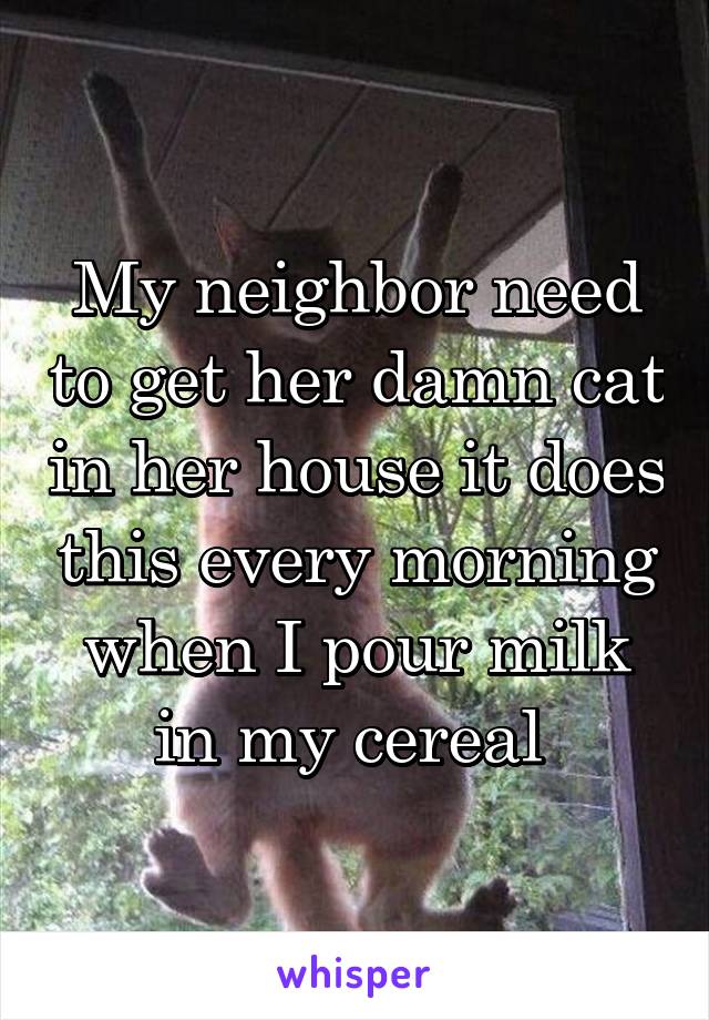 My neighbor need to get her damn cat in her house it does this every morning when I pour milk in my cereal 