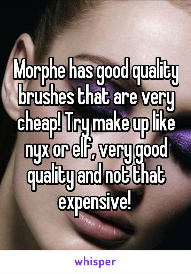 Morphe has good quality brushes that are very cheap! Try make up like nyx or elf, very good quality and not that expensive! 