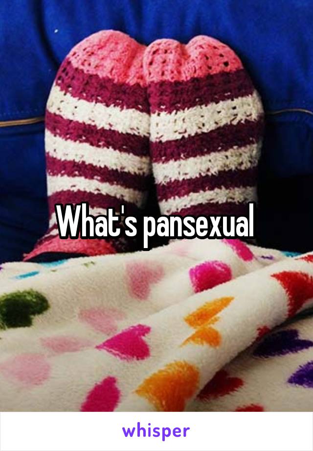 What's pansexual 