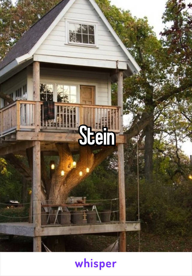 Stein