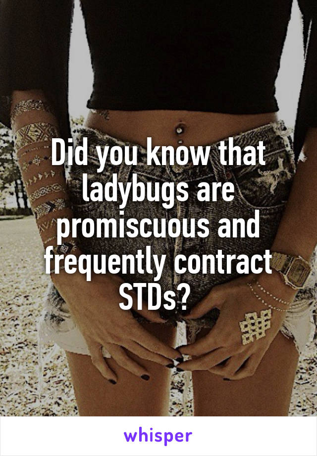 Did you know that ladybugs are promiscuous and frequently contract STDs? 