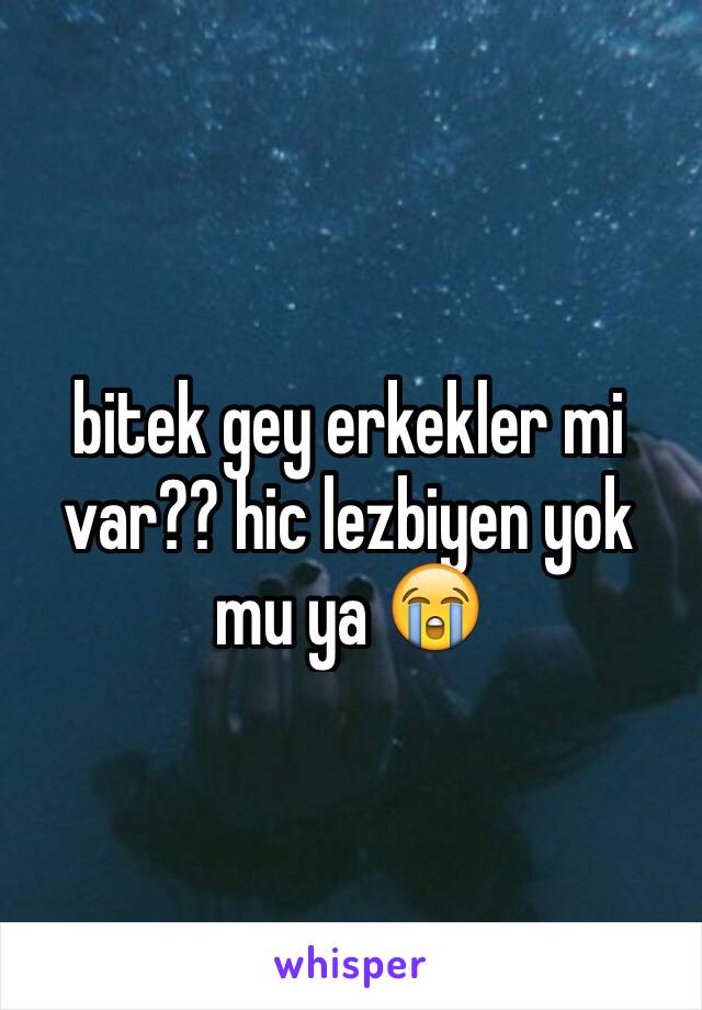 bitek gey erkekler mi var?? hic lezbiyen yok mu ya 😭