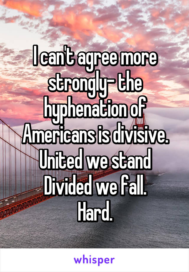 I can't agree more strongly- the hyphenation of Americans is divisive.
United we stand
Divided we fall.
Hard.