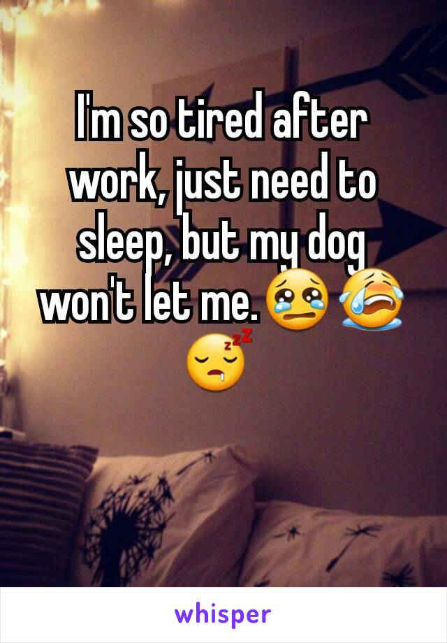 I'm so tired after work, just need to sleep, but my dog won't let me.😢😭😴 