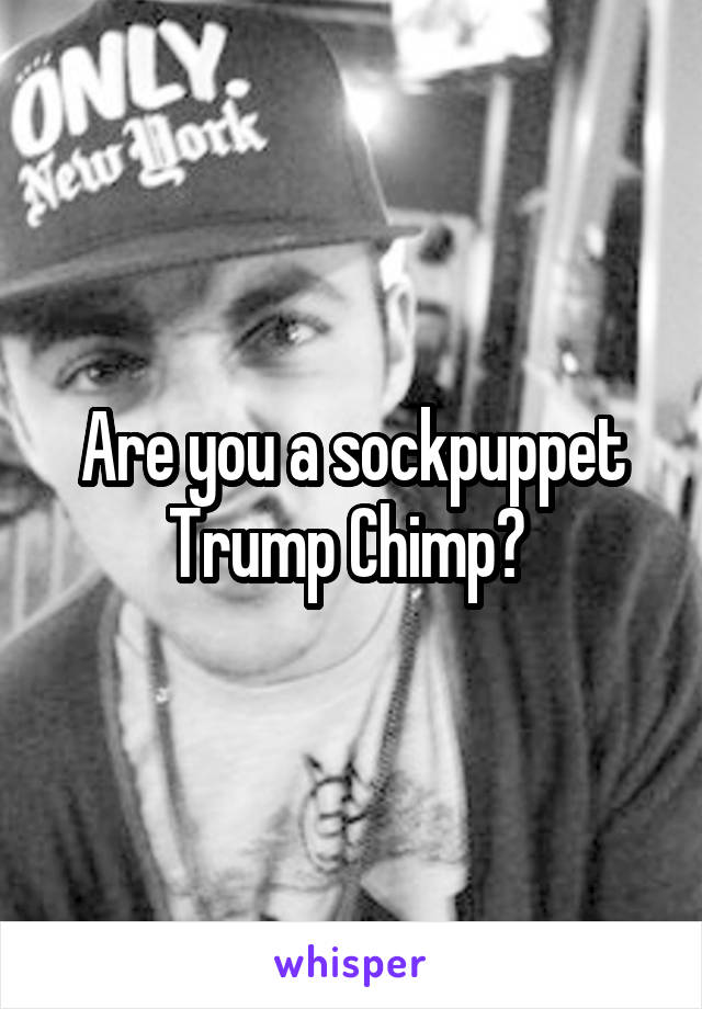 Are you a sockpuppet Trump Chimp? 