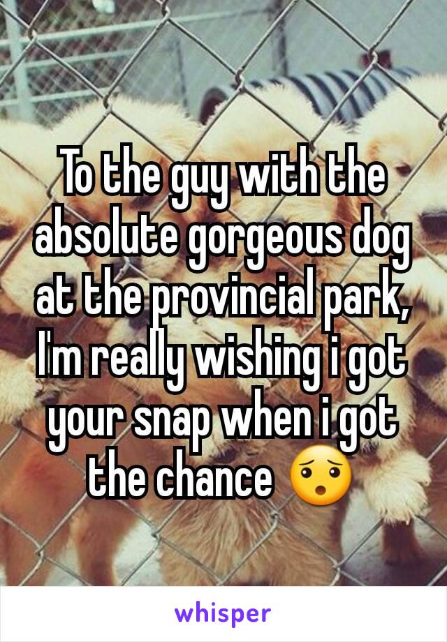 To the guy with the absolute gorgeous dog at the provincial park, I'm really wishing i got your snap when i got the chance 😯