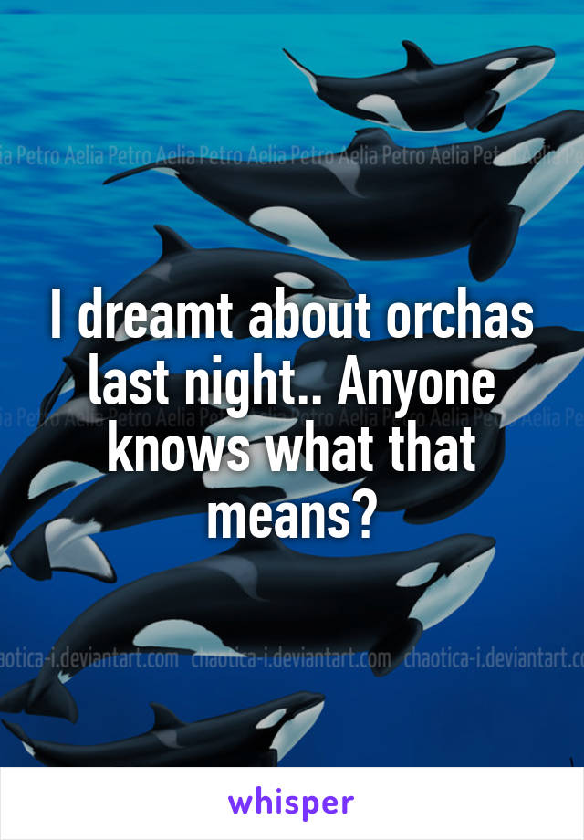 I dreamt about orchas last night.. Anyone knows what that means?