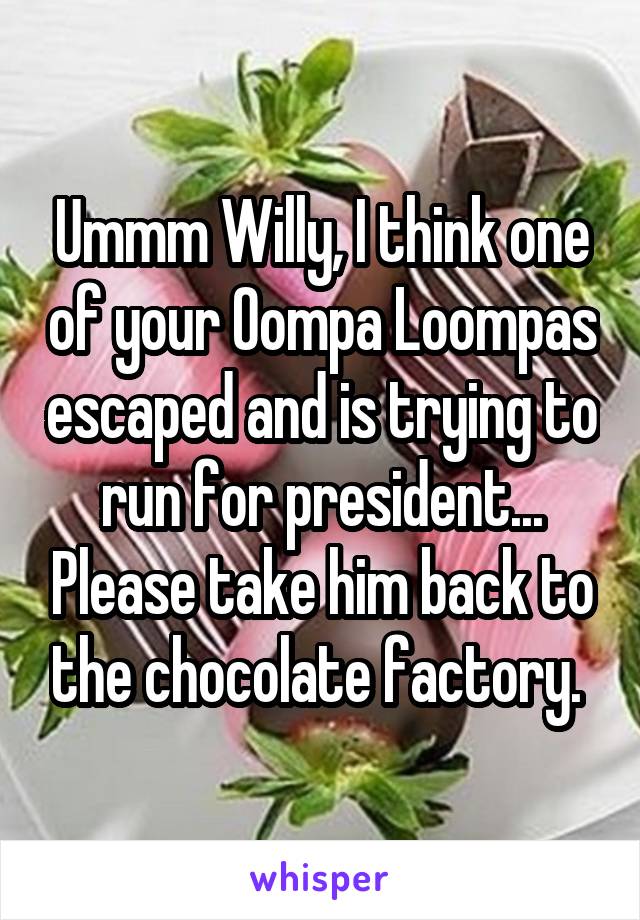 Ummm Willy, I think one of your Oompa Loompas escaped and is trying to run for president... Please take him back to the chocolate factory. 