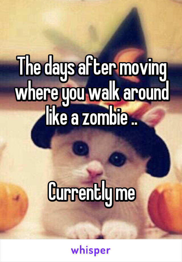 The days after moving where you walk around like a zombie ..


Currently me