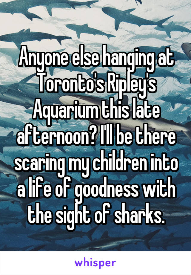 Anyone else hanging at Toronto's Ripley's Aquarium this late afternoon? I'll be there scaring my children into a life of goodness with the sight of sharks.