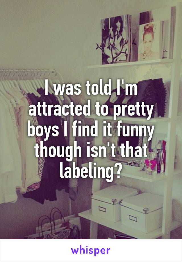 I was told I'm attracted to pretty boys I find it funny though isn't that labeling?