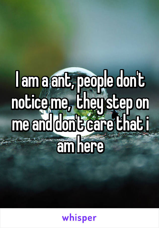 I am a ant, people don't notice me,  they step on me and don't care that i am here