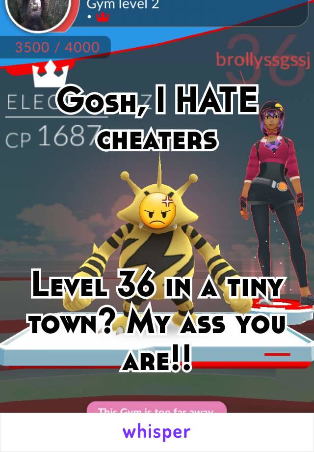 Gosh, I HATE cheaters

😡

Level 36 in a tiny town? My ass you are!!