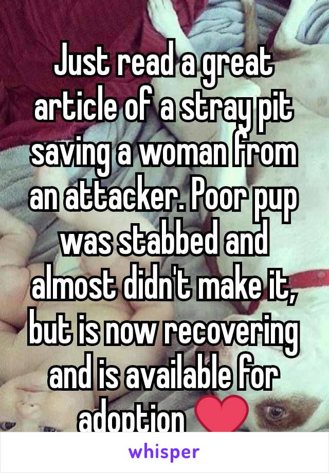 Just read a great article of a stray pit saving a woman from an attacker. Poor pup was stabbed and almost didn't make it, but is now recovering and is available for adoption ❤