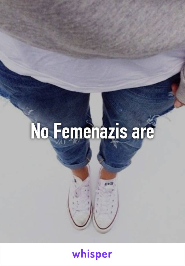 No Femenazis are