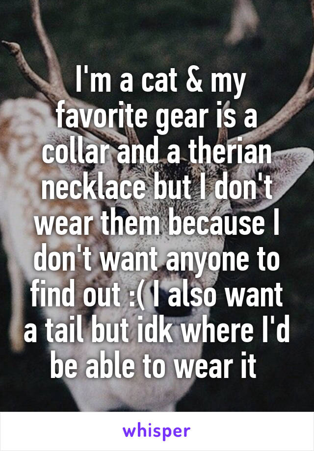  I'm a cat & my favorite gear is a collar and a therian necklace but I don't wear them because I don't want anyone to find out :( I also want a tail but idk where I'd be able to wear it 