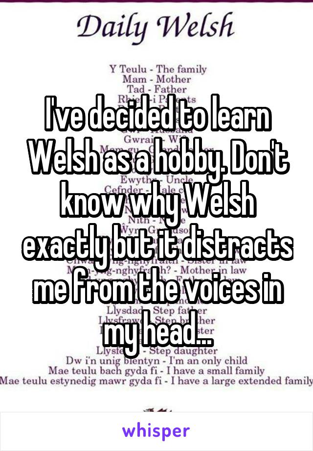 I've decided to learn Welsh as a hobby. Don't know why Welsh exactly but it distracts me from the voices in my head...