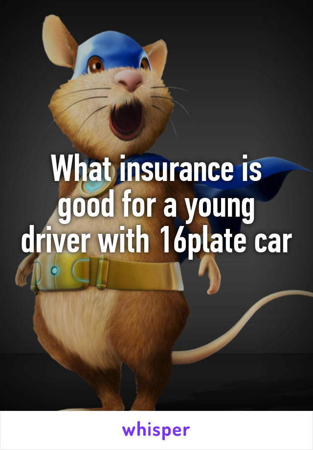 What insurance is good for a young driver with 16plate car 