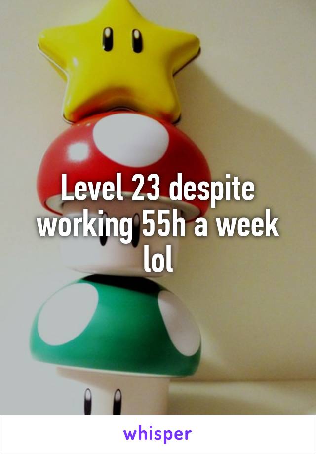 Level 23 despite working 55h a week lol