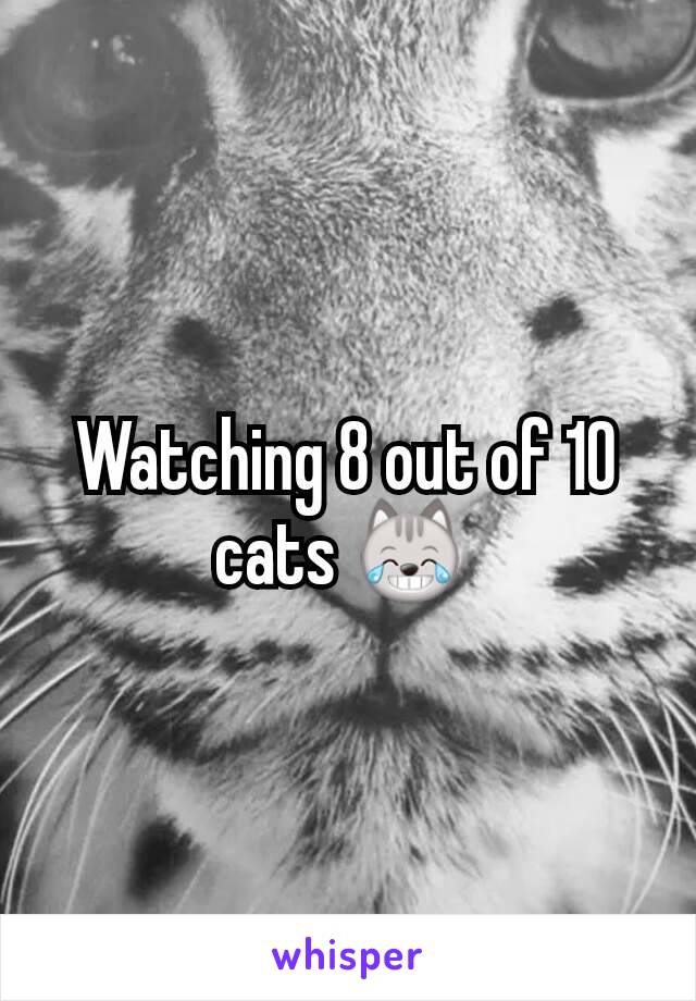 Watching 8 out of 10 cats 😹 